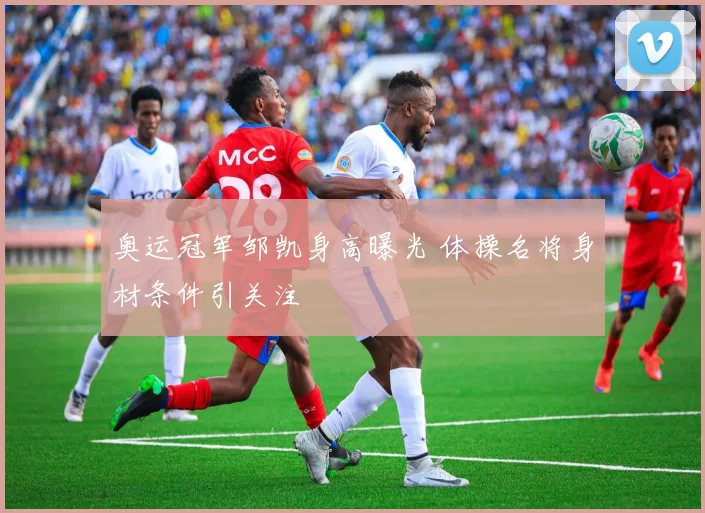 奥运冠军邹凯身高曝光 体操名将身材条件引关注