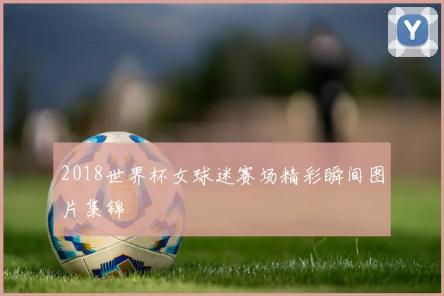 2018世界杯女球迷赛场精彩瞬间图片集锦