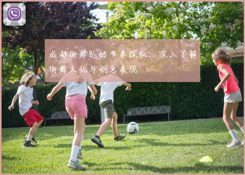 成都街舞队的节奏探秘：深入了解街舞文化与创意表现